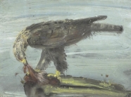 Adler mit Beute