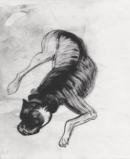 107-1