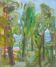 Bäume am Meer